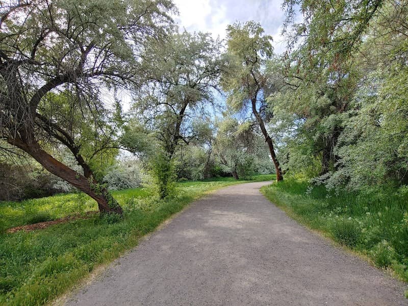 Big Cottonwood Regional Park - Big Cottonwood Area - Image 2