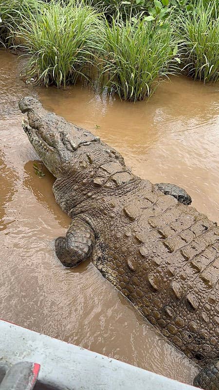 Jason Crocodile Tours - Image 1