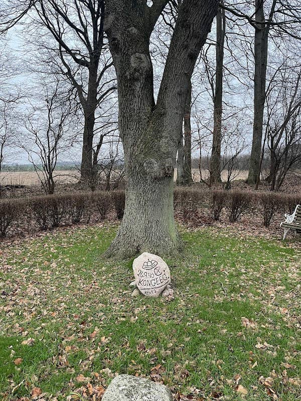 Memorial stone for Kongeegen - Image 2