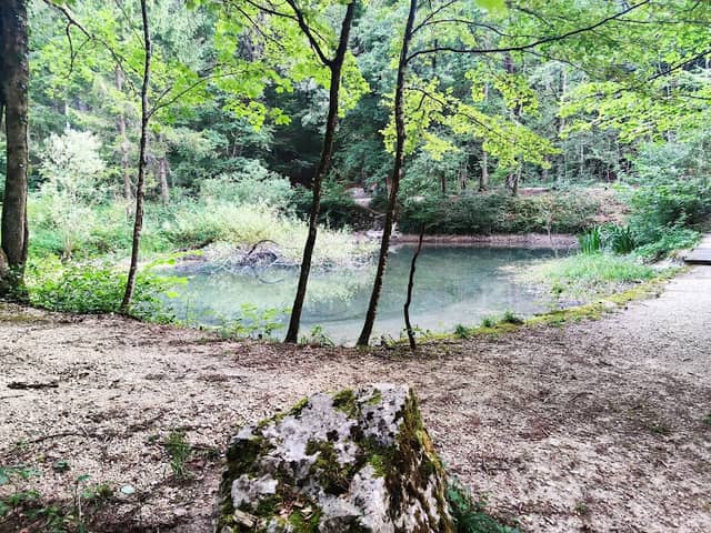 Flüemattweiher Egerkingen - Image 1
