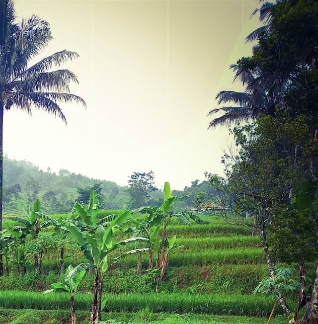 Wisata Leuwi Gede - Image 1