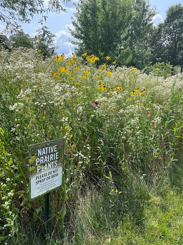 Viking Meadows 161st Street Native Prairie - Image 1