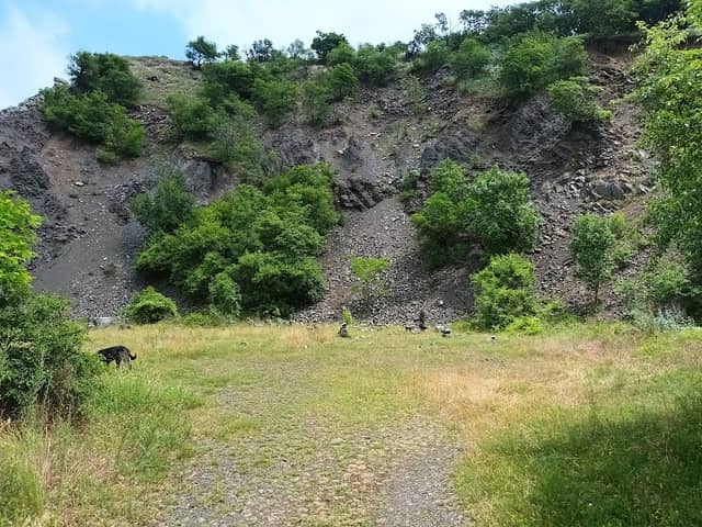 Felhagyott kőbánya - Image 2