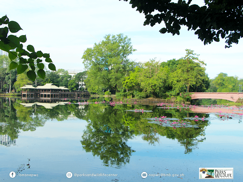 Ninoy Aquino Parks and Wildlife Center - Image 1