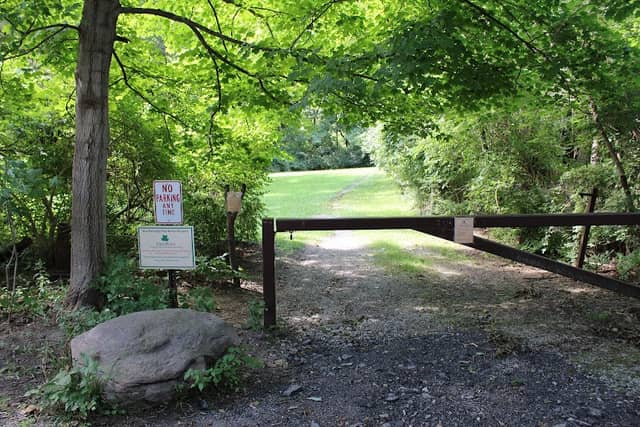 School Forest Meadow - Image 1