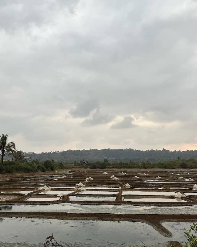 Salt pans - Image 1