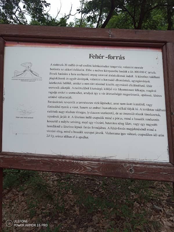 Fehér forrás - Image 1