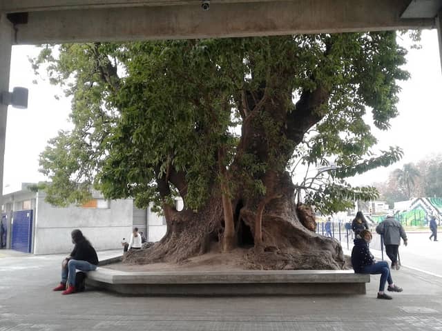 Plaza Huelga General de 1973 - Image 1