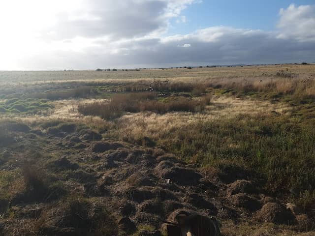 Stony Hill Creek - Image 1