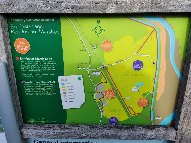 RSPB Exminster and Powderham Marshes - Image 1