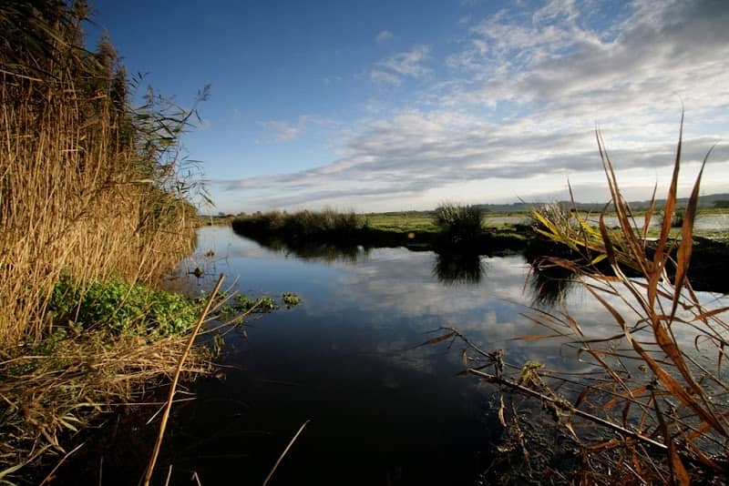 RSPB Exminster and Powderham Marshes - Image 3
