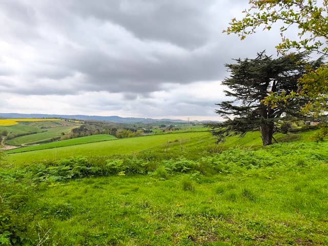 RSPB Exminster and Powderham Marshes - Image 2