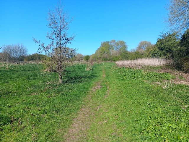 Gunthorpe Nature Reserve - Image 1
