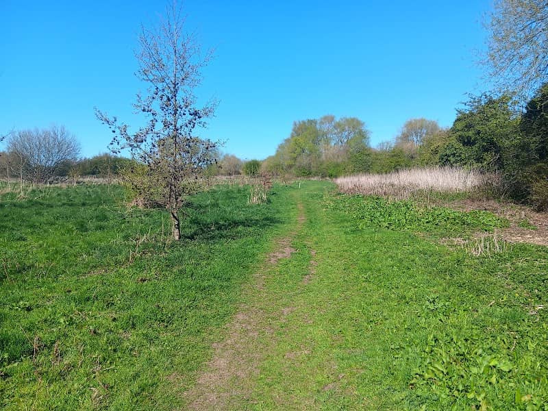 Gunthorpe Nature Reserve - Image 1