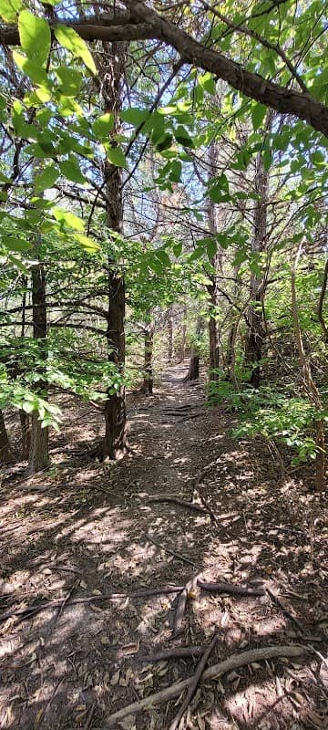 Dr. Howard Reynolds Nature Trails - Image 1