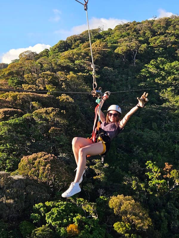 Tree Top Canopy Tour. - Image 1