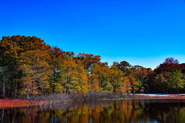 Indian Lake State Forest Campground - Image 2