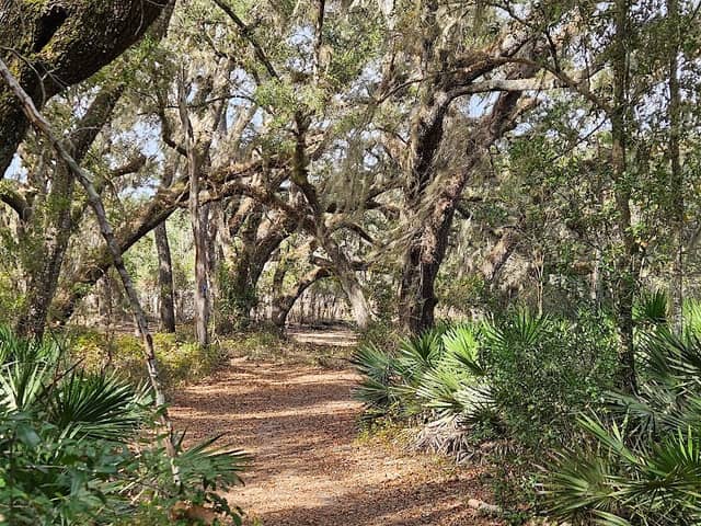 Indian Lake State Forest Campground - Image 1