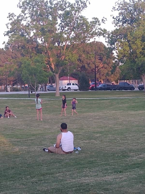 City park - Image 3