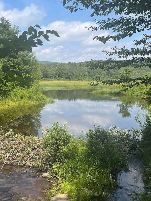 Frick Pond Loop - Image 1
