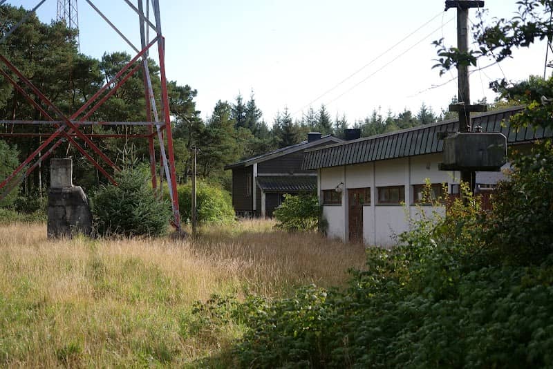 Vigreskogen - Image 1