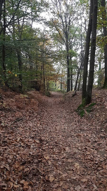Ingresso Bosco del Vaj - Image 1