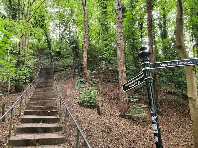 Alexandra Park - Image 1