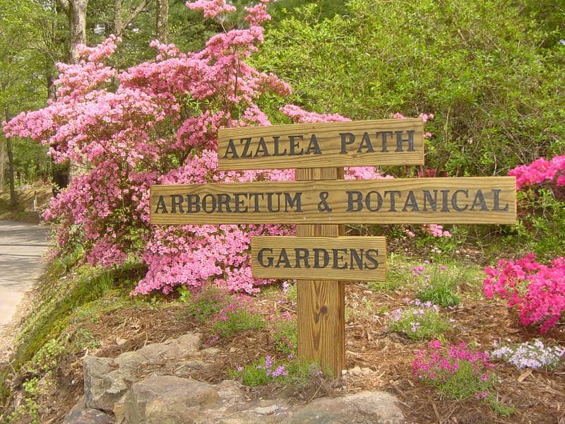 Azalea Path - Image 1