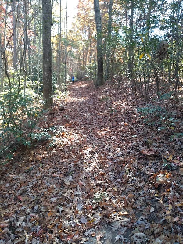 MST Trailhead - Woodlawn - Image 1