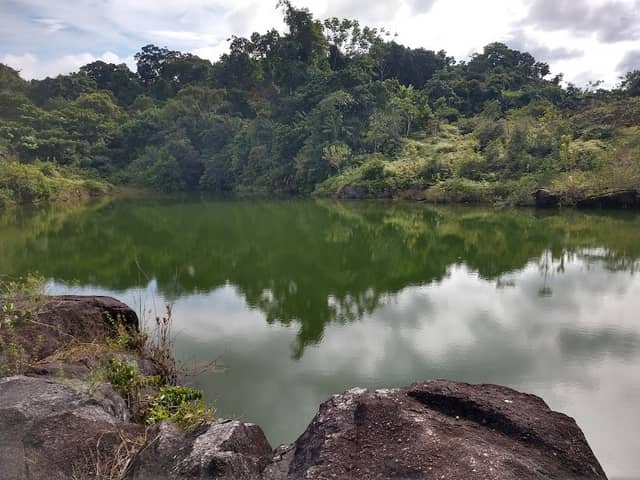 Igarapé miua lago Verde - Image 1