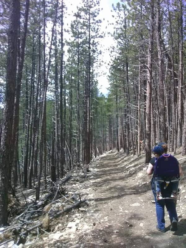 Vanocker canyon road - Image 2