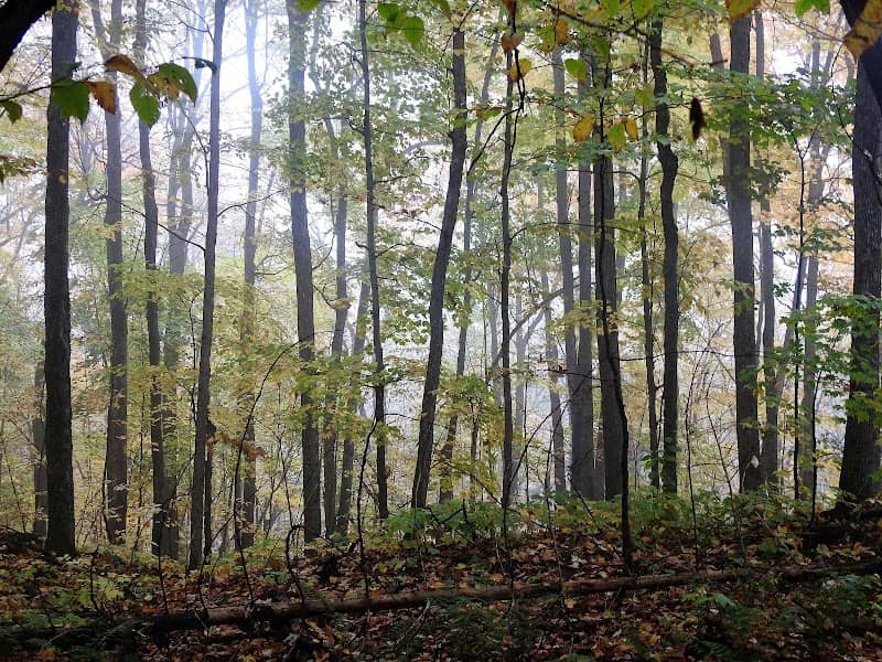Gatineau Park - Image 2