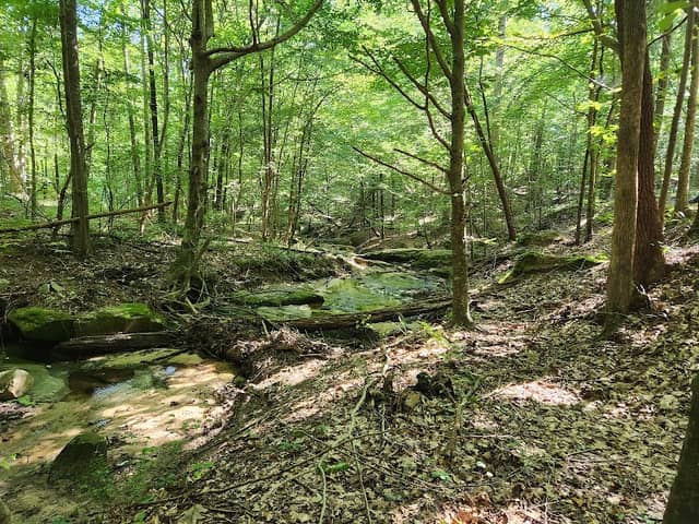 Hilliard Creek Trailhead - Image 1