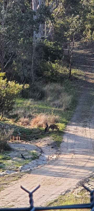 Bill Swift Reserve - Image 2