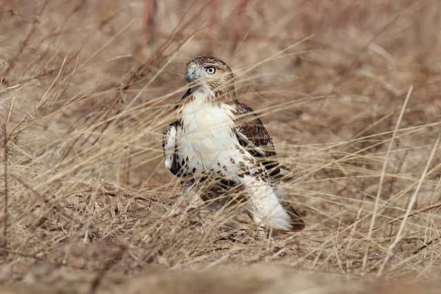Braddock Bay Wildlife Management Area--Burger Park - Image 3