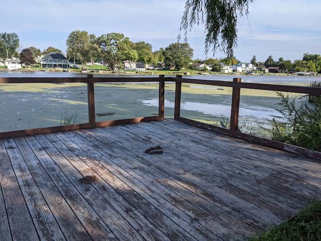 Braddock Bay Wildlife Management Area--Burger Park - Image 1