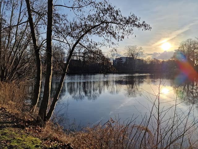Bürger Park - Image 2
