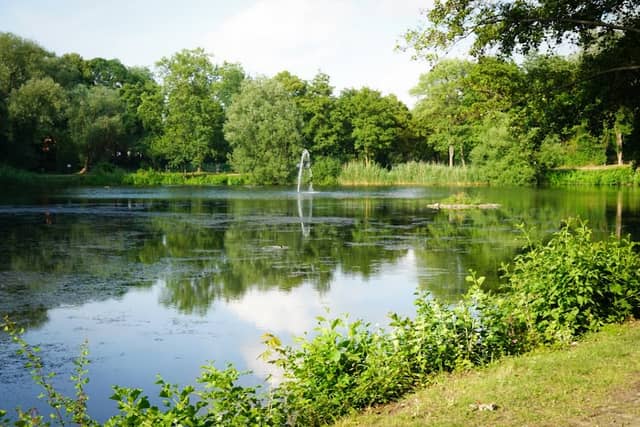 Bürger Park - Image 1