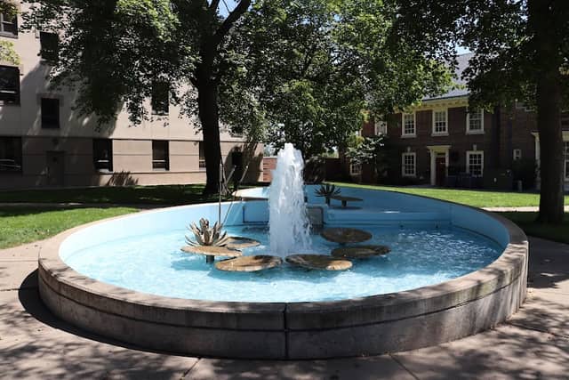 Lilly Pad Fountain - Image 1