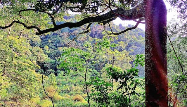 Tai Po Kau Outdoor Study Centre - Image 3