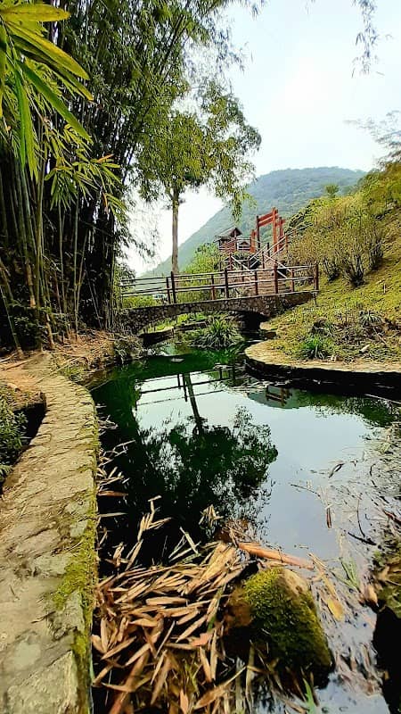 Tai Po Kau Outdoor Study Centre - Image 2