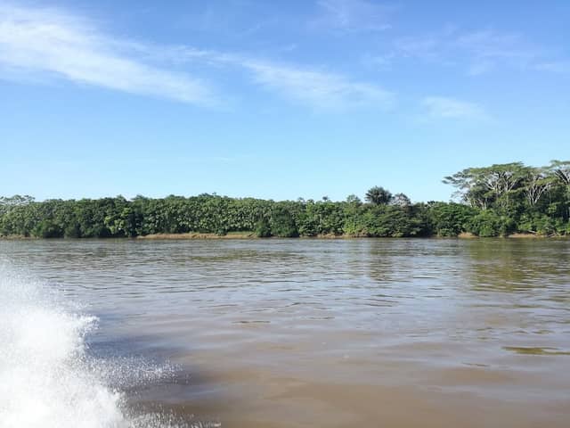 Parque Nacional Natural La Paya - Image 3