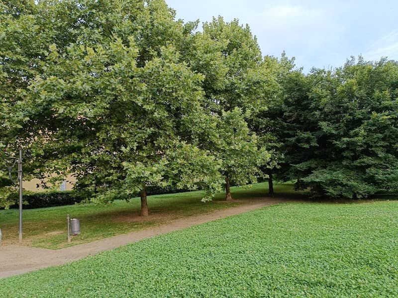 Parco pineta Oasi Verde - Image 1