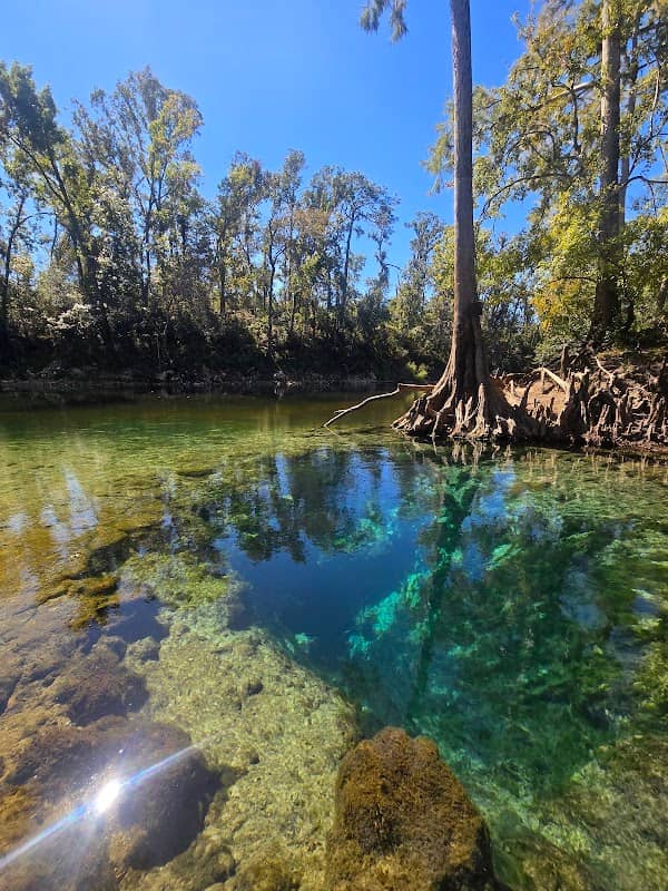 Twin Rivers Wildlife Management Area - Withlacoochee Tract - Image 1