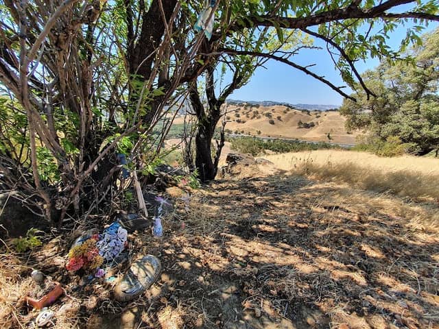 Children's Grove - Image 1