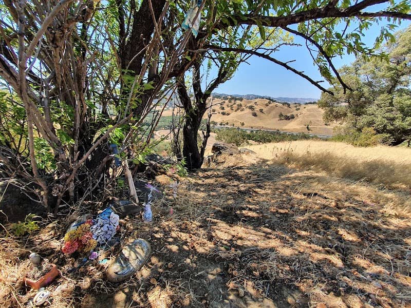 Children's Grove - Image 1