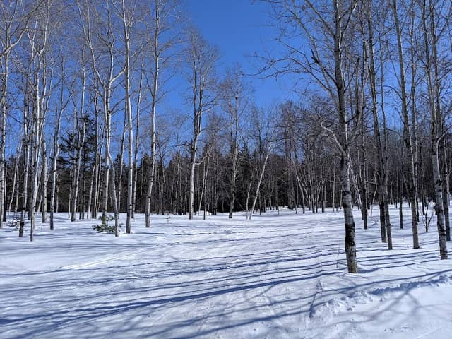Four Seasons Trail Association - Image 1