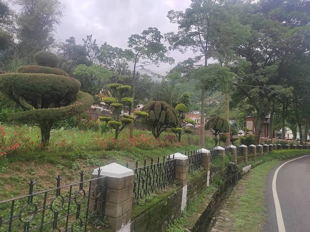 DR Thakur Rose Garden - Image 3
