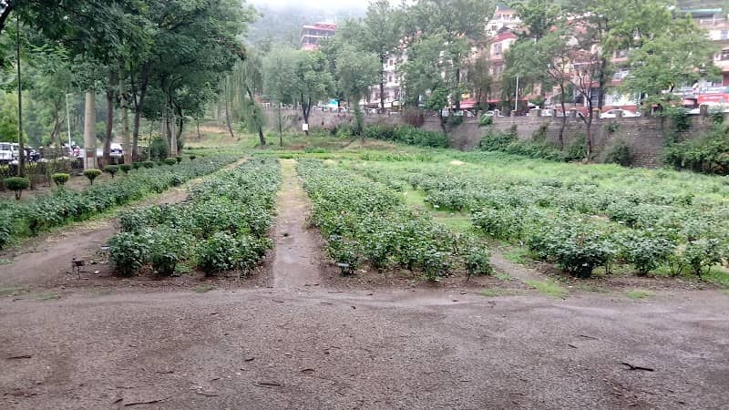 DR Thakur Rose Garden - Image 2
