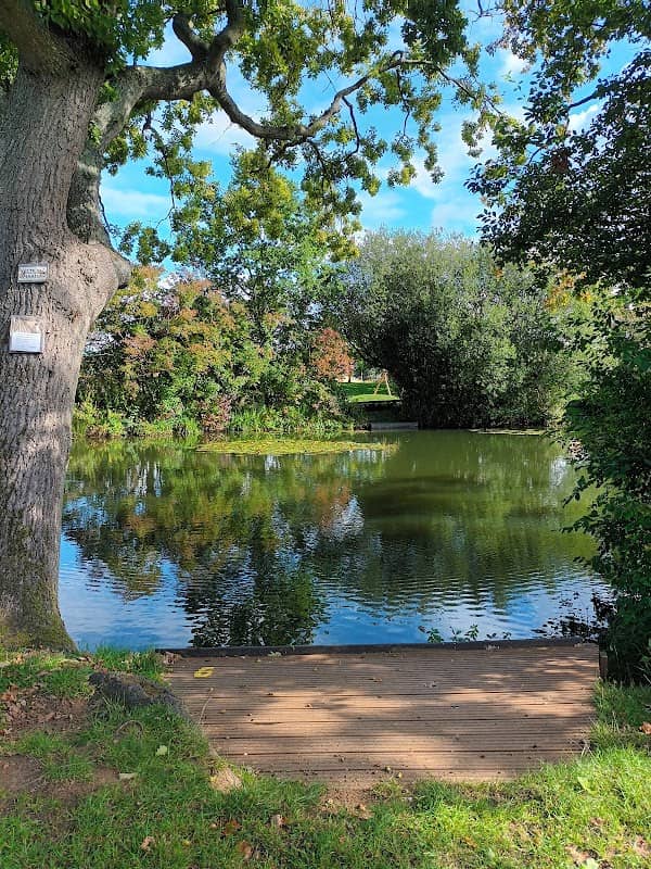 Pond park - Image 1